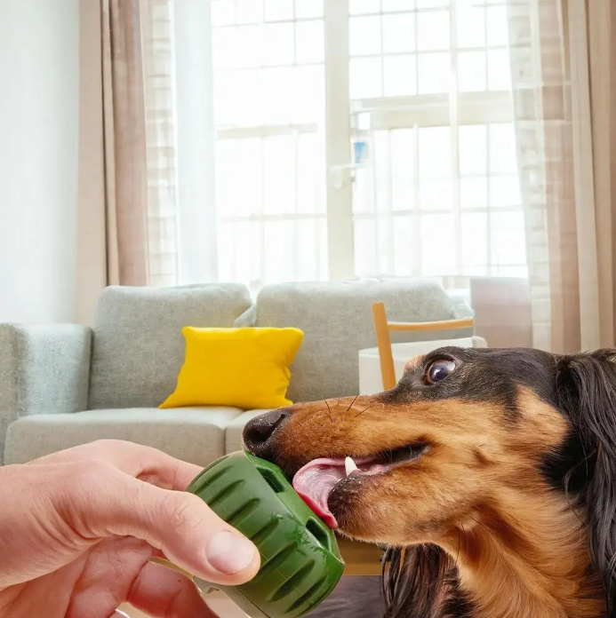 Petspalast Schleckball & Hundeleckerli-Schale™