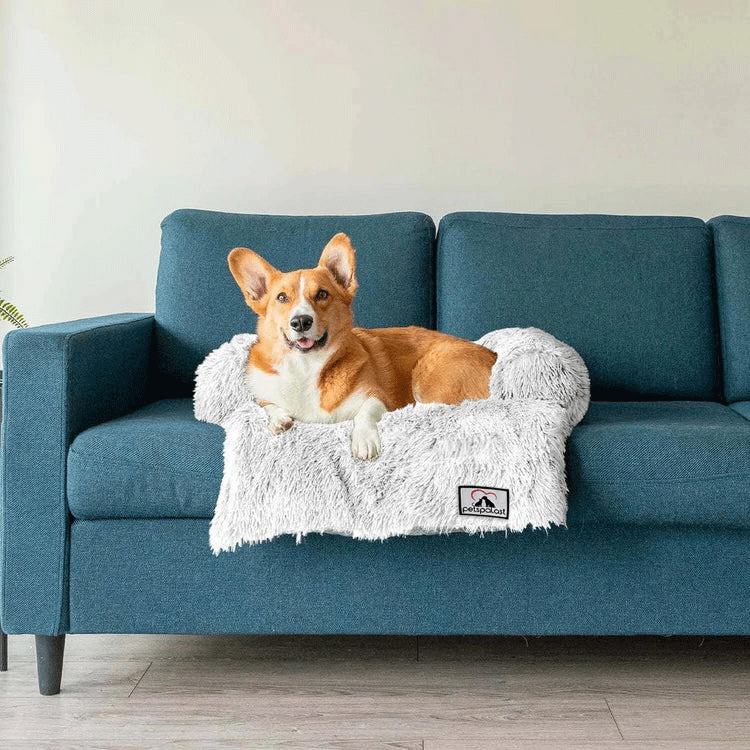 Möbelschutz und Hundebett