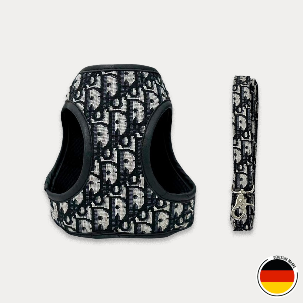 Geschirr- und Leinen-Set für Hunde