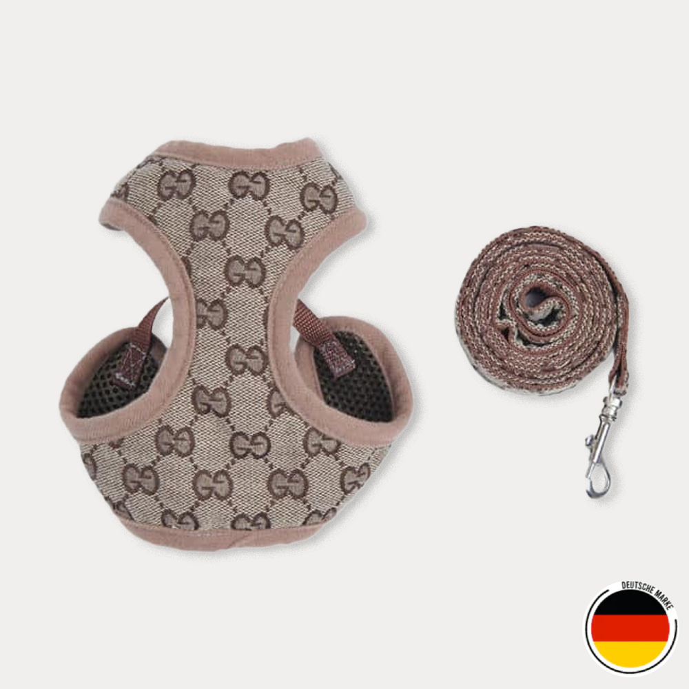 Geschirr- und Leinen-Set für Hunde