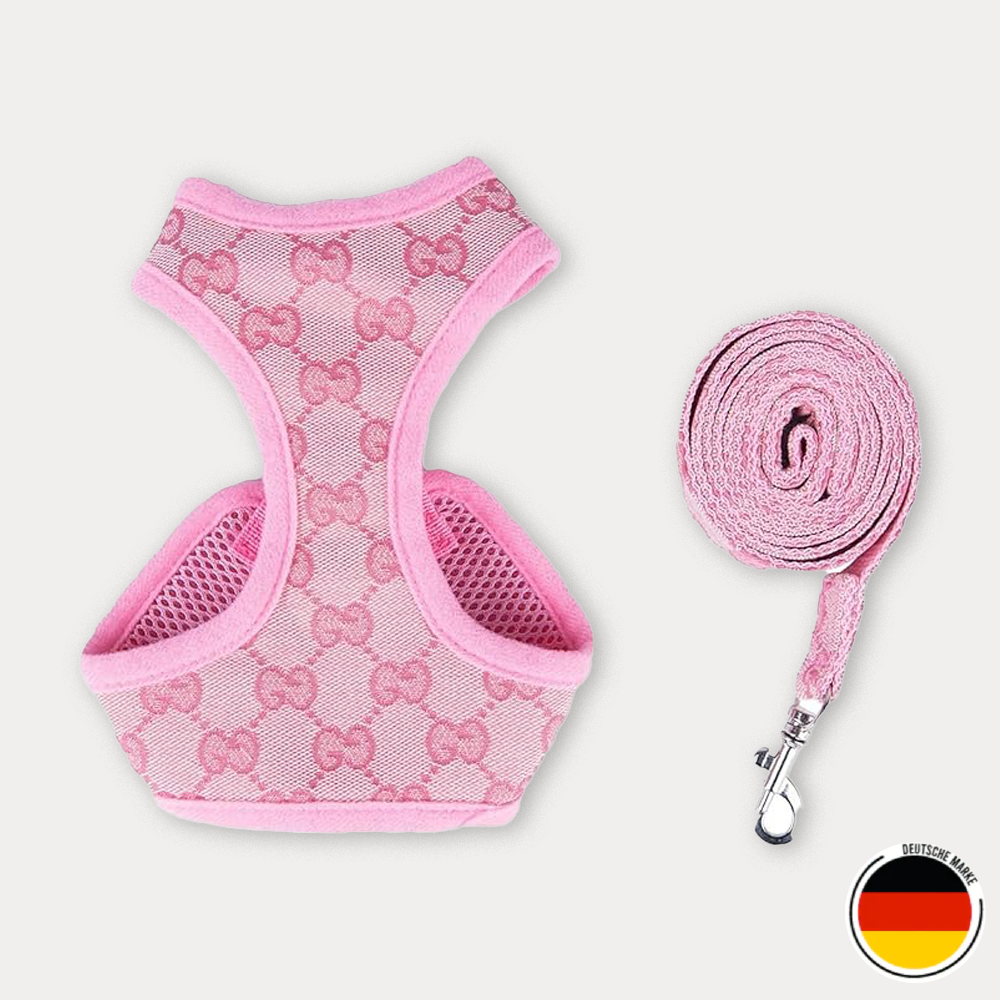 Geschirr- und Leinen-Set für Hunde