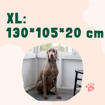 Möbelschutz und Hundebett