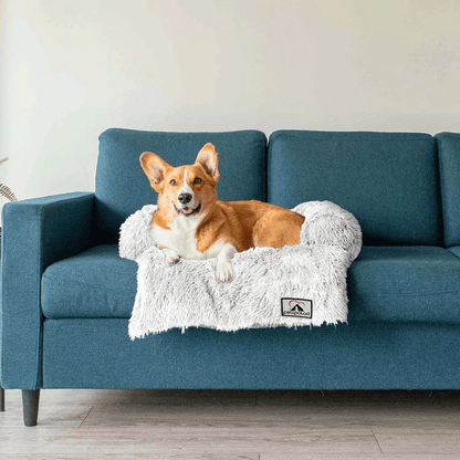 Möbelschutz und Hundebett