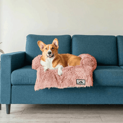 Möbelschutz und Hundebett