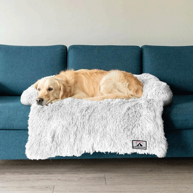 Möbelschutz und Hundebett
