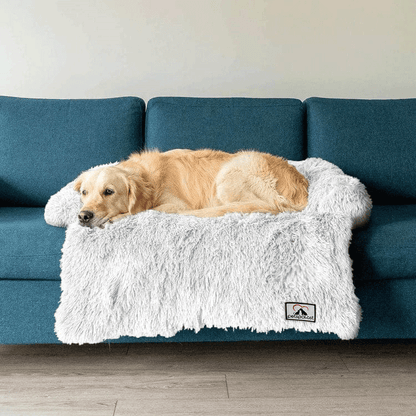 Möbelschutz und Hundebett
