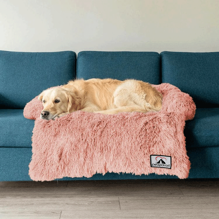 Möbelschutz und Hundebett