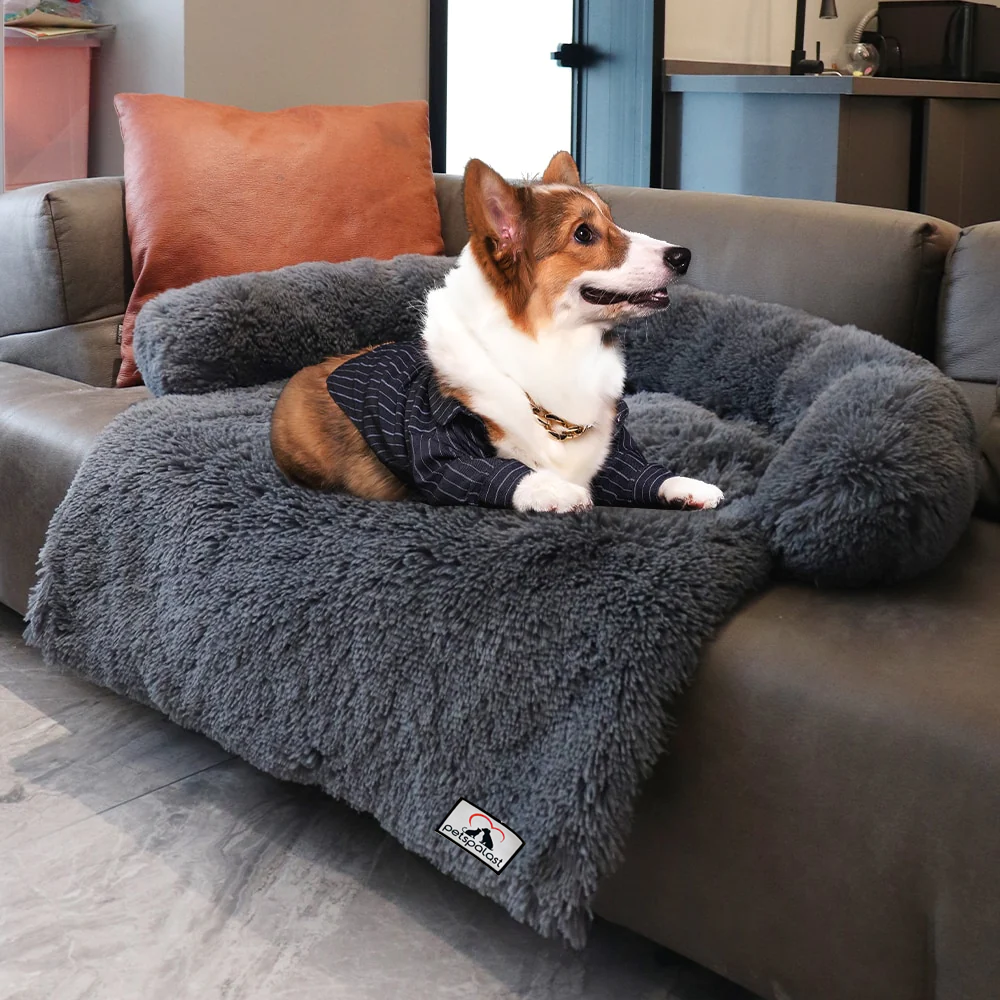 Möbelschutz und Hundebett